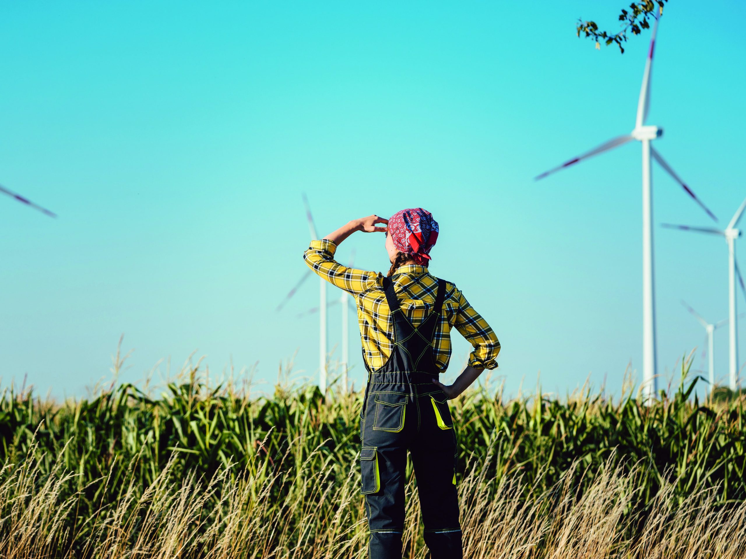 Farmer woman has invested not only in land but also wind energy watching the turbines